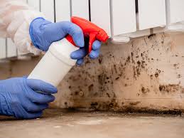 Best Mold Removal for HVAC Installations  in Holt, AL